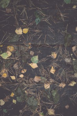 eski ahşap plakalar yaprakları ile - retro, vintage kaplı.