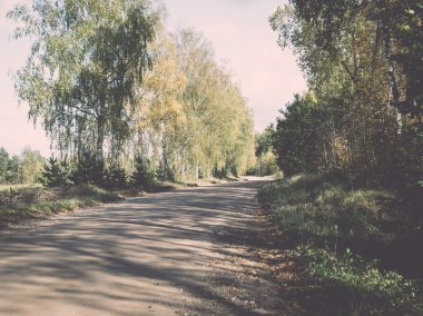 boş köy yolunda - retro, vintage