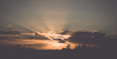 günbatımı üzerinde orman - retro, vintage