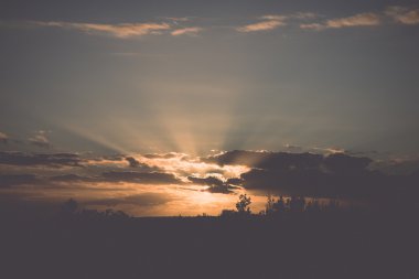 günbatımı üzerinde orman - retro, vintage