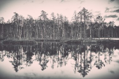 göl ile tahta - yansımalar retro, vintage