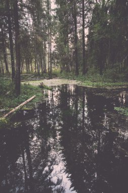 Eski nehir banka ile su - retro, yansımalar vintage