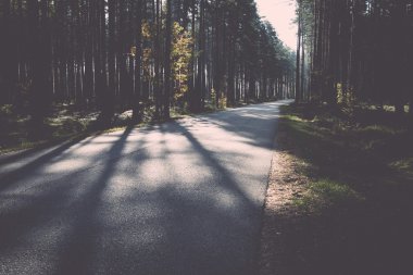 Sabah güneşi sonbahar yolu üzerinden - retro, vintage kirişler.
