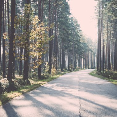 Sabah güneşi sonbahar yolu üzerinden - retro, vintage kirişler.