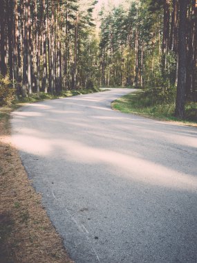 Sabah güneşi sonbahar yolu üzerinden - retro, vintage kirişler.