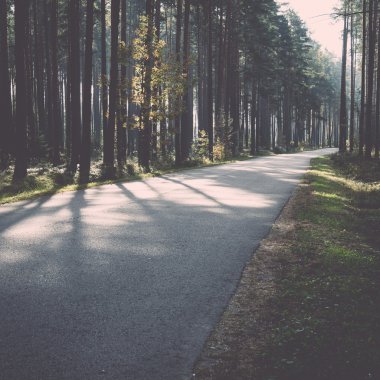 Sabah güneşi sonbahar yolu üzerinden - retro, vintage kirişler.