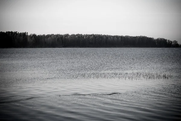 Bellissimo paesaggio invernale con lago ghiacciato. vintage — Foto Stock