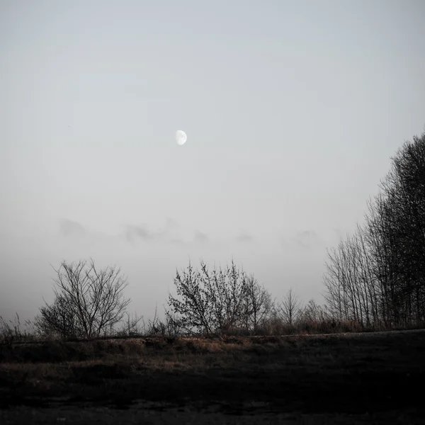 하늘에 달과 비행기 산책로 겨울 일몰. 빈티지 — 스톡 사진