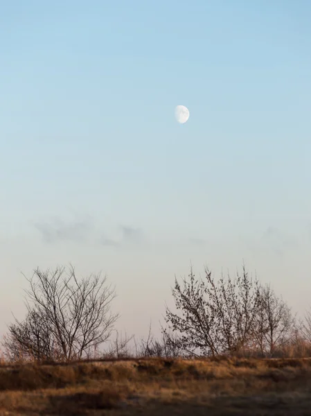 winter sunset with moon and plane trails in the sky