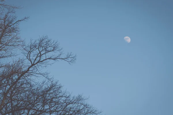 Mond am blauen Himmel - Retro, Vintage — Stockfoto