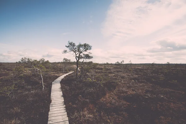 Вид на болото с деревьями и набережной - ретро, винтаж — стоковое фото