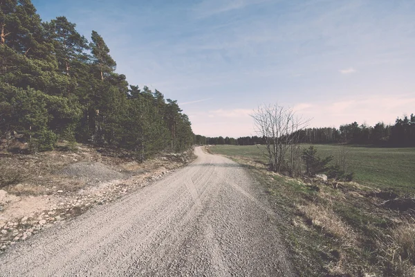 Landstraße im Wald - retro, vintage — Stockfoto