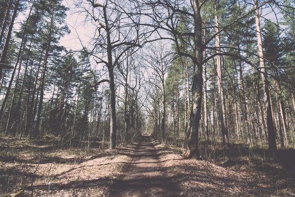 Strada di campagna nel bosco - retrò, vintage — Foto Stock