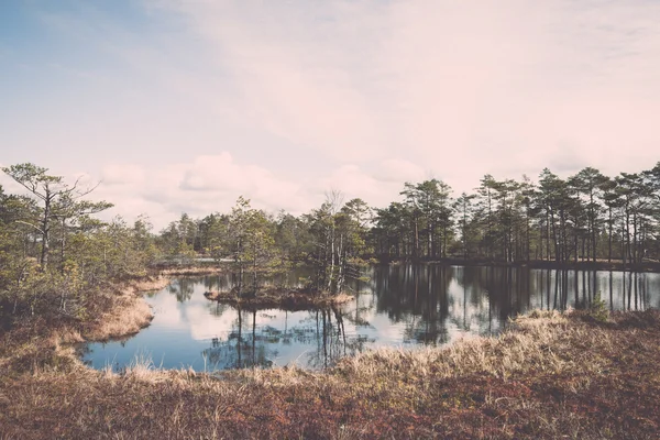 Vista al pantano con árboles y lago - retro, vintage —  Fotos de Stock