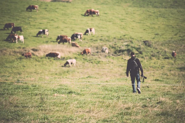 Fotógrafo trabajando en el campo con trípode - retro, vintage —  Fotos de Stock