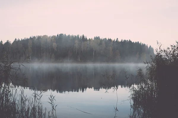 Matin brumeux au bord du lac à la campagne - rétro, vintage — Photo