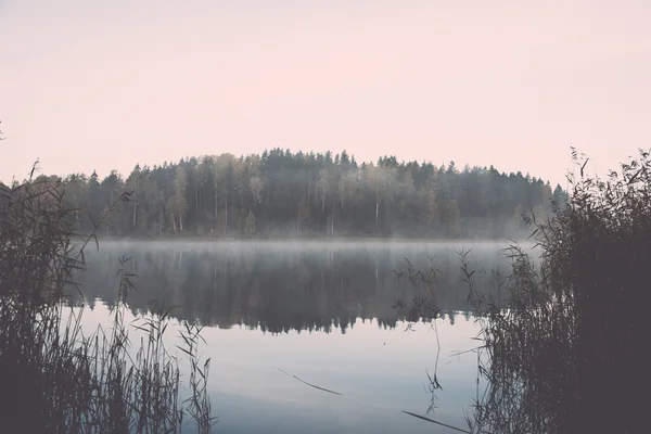 Туманное утро на деревенском озере - ретро, винтаж — стоковое фото