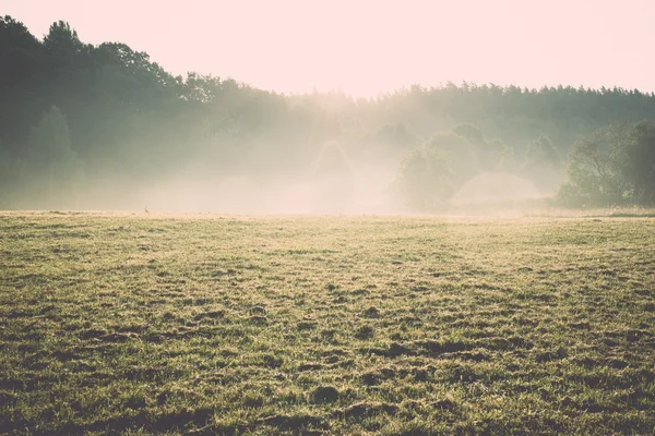 Misty fields and meadows after the rain in summer - retro, vinta — Stock Photo, Image