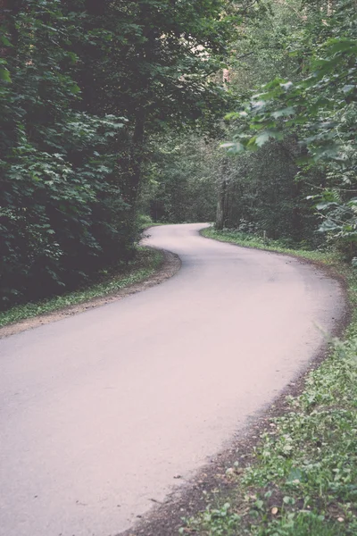 Slightly lit road in the forest - retro, vintage — Stock Photo, Image
