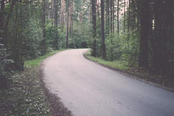 Slightly lit road in the forest - retro, vintage — Stock Photo, Image