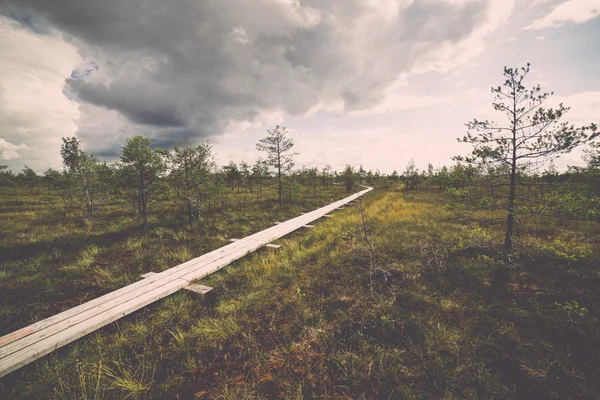 Träsk med sjöar och vandringsled - retro, vintage — Stockfoto