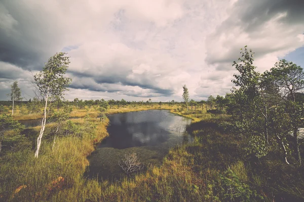 Swamp view with lakes and footpath - retro, vintage — Stock Photo, Image