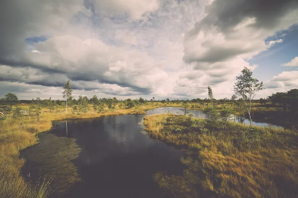 Vue sur les marais avec lacs et sentiers - rétro, vintage — Photo