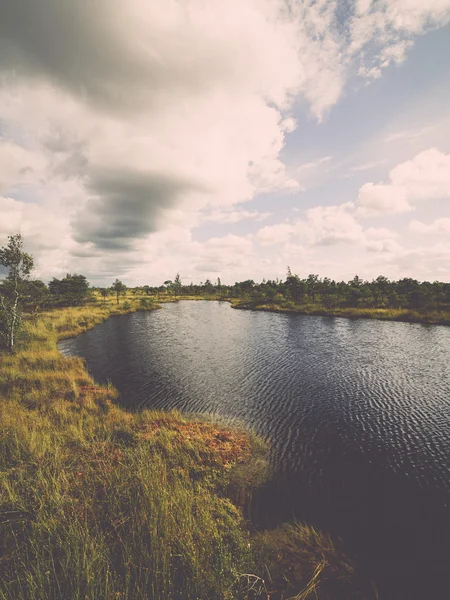 Swamp view with lakes and footpath - retro, vintage — Stock Photo, Image