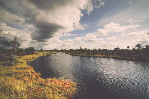 沼泽看法与湖和小径-复古, 复古 — 图库照片