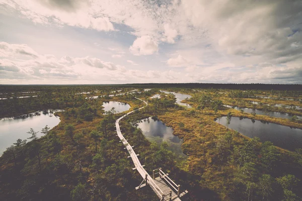 Swamp view with lakes and footpath - retro, vintage — Stock Photo, Image