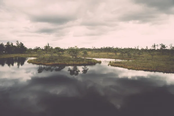 Vue sur les marais avec lacs et sentiers - rétro, vintage — Photo