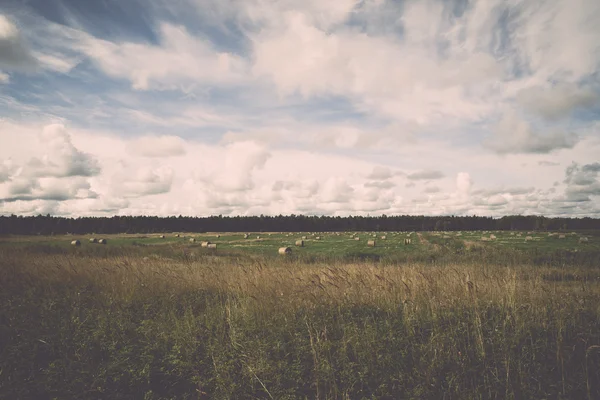 Rolki z siana na zielonym polu - retro, vintage — Zdjęcie stockowe