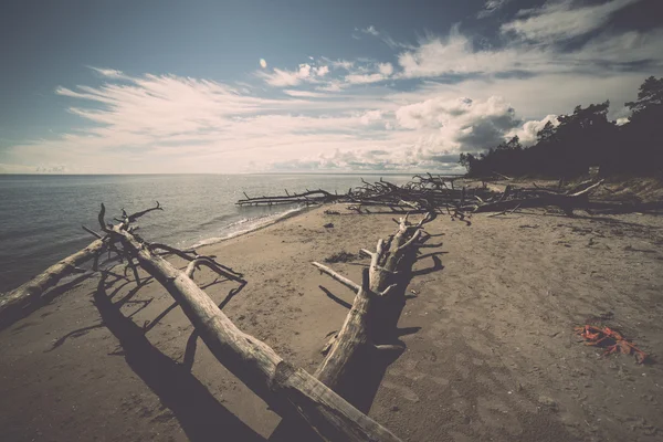 Horizonte de playa con troncos de árboles viejos en el agua - retro, vendimia —  Fotos de Stock