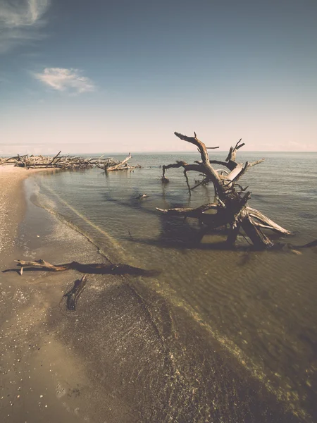 Plaj manzarası ile eski ağaç gövdeleri su - retro, vintage — Stok fotoğraf