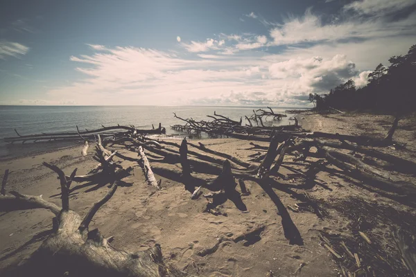 Horizonte de playa con troncos de árboles viejos en el agua - retro, vendimia —  Fotos de Stock