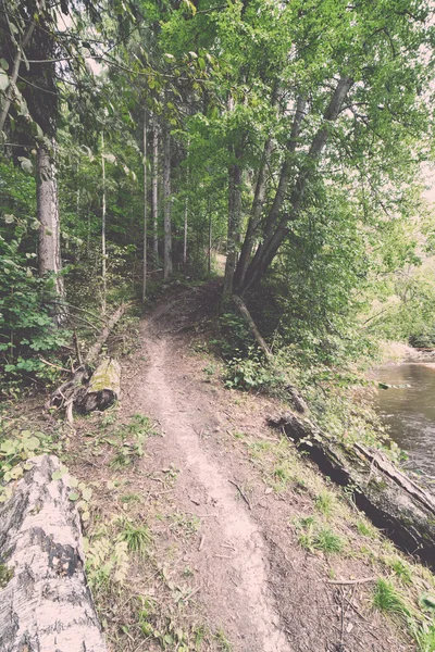 Γραφική και όμορφη τουρισμού μονοπάτι μέσα στο δάσος κοντά ποταμός - εκ νέου — Φωτογραφία Αρχείου