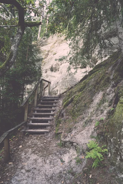 Scenic and beautiful tourism trail in the woods near river  - re — Stock Photo, Image