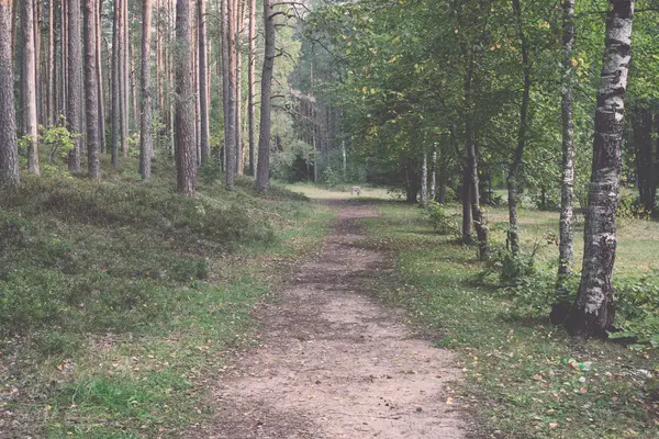 Sendero turístico escénico y hermoso en el bosque cerca del río - re — Foto de Stock