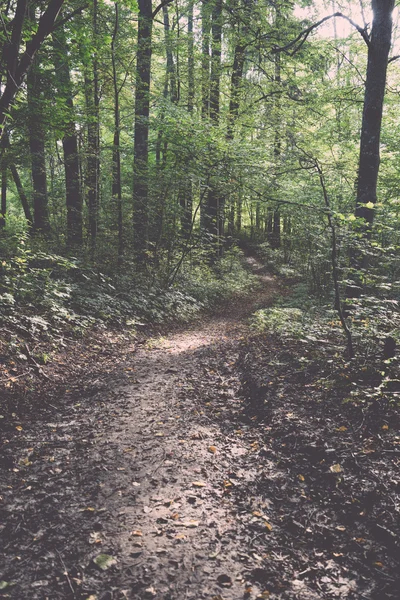 Sendero turístico escénico y hermoso en el bosque cerca del río - re —  Fotos de Stock