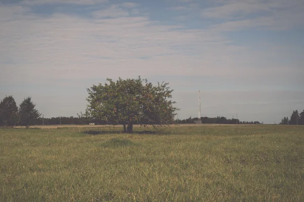 Majestic country landscape under morning sky with clouds.   - re — Stock Photo, Image