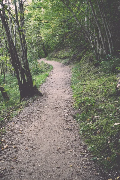 Sendero turístico escénico y hermoso en el bosque cerca del río - re — Foto de Stock