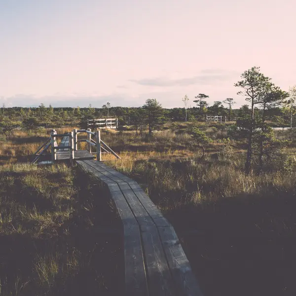 Houten wandelpad op het moeras - retro, vintage — Stockfoto