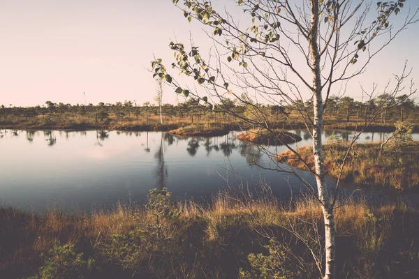 Houten wandelpad op het moeras - retro, vintage — Stockfoto