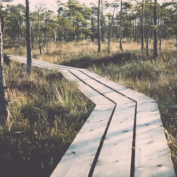 Деревянная тропинка на болоте - ретро, винтаж — стоковое фото