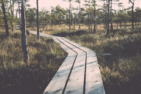 Sentier en bois sur la tourbière - rétro, vintage — Photo