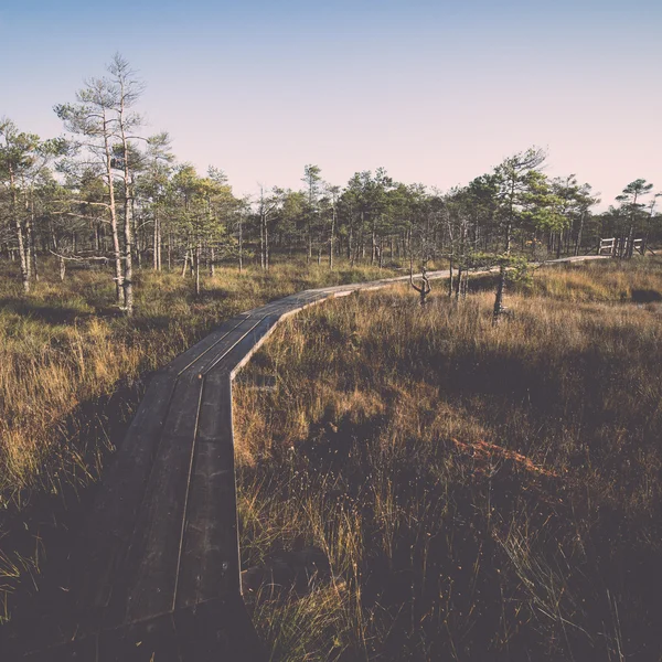 Деревянная тропинка на болоте - ретро, винтаж — стоковое фото