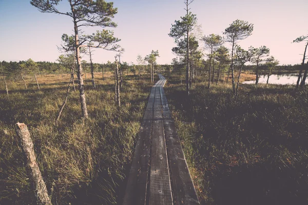 Sentier en bois sur la tourbière - rétro, vintage — Photo