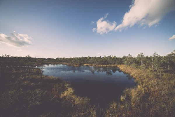 Autumn lake with reflections of trees - retro, vintage — Stock Photo, Image