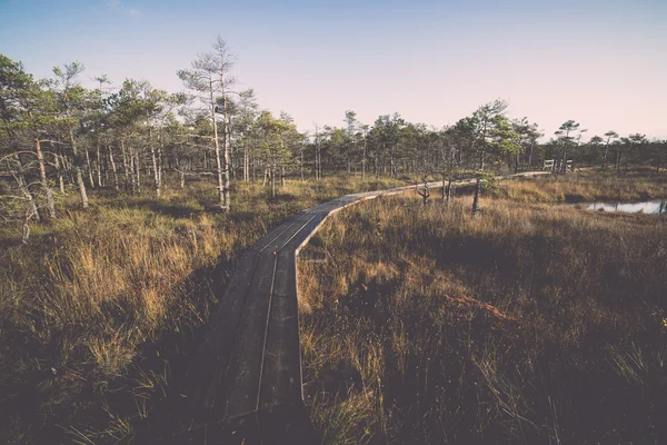 Sentier en bois sur la tourbière - rétro, vintage — Photo