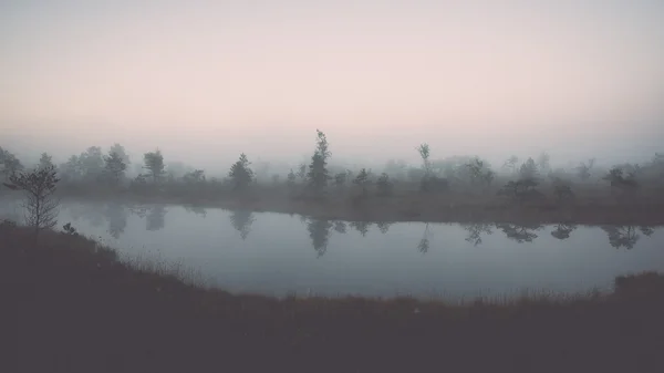 Beautiful tranquil landscape of misty swamp lake - retro, vintag